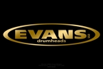 Evans_Heads_Mirror_Gold_350_350